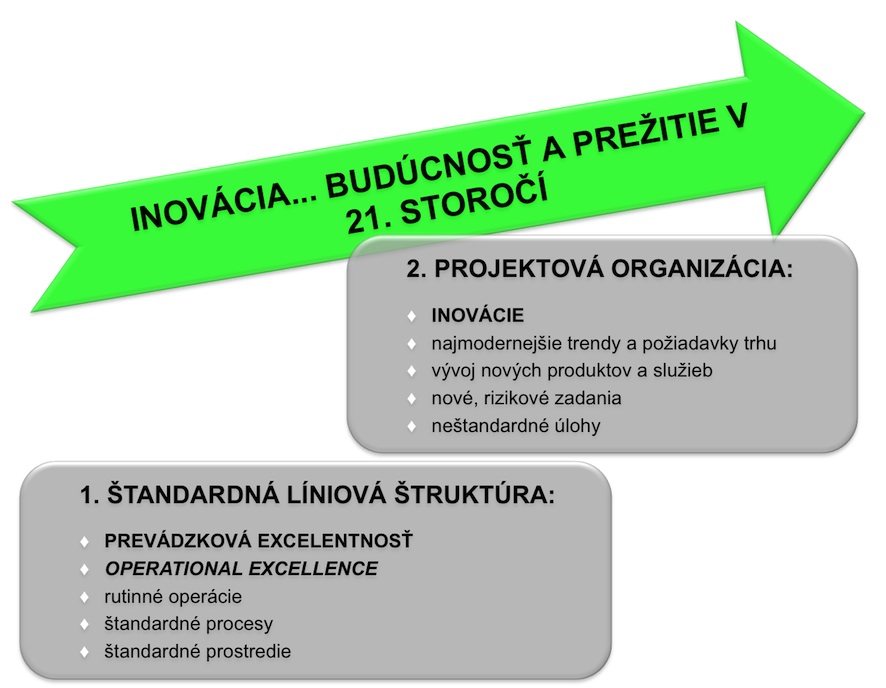 Líniová štruktúra a projekty