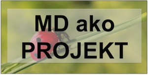 Materská dovolenka ako projekt
