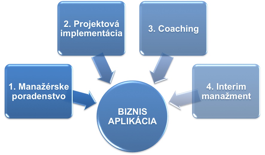 Manažérske poradenstvo a Projektová implementácia