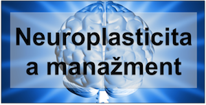 Neuroplasticita mozgu a manažérsky rozvoj