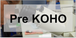 Pre KOHO je workshop - Projektový manažment pre Kvalitu