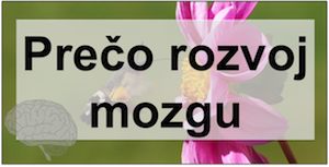 Prečo rozvoj mozgu - viac info - SMART BRAIN