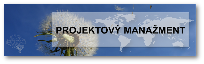 Projektový manažment - Projektové riadenie