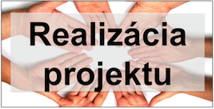 Realizácia projektu - materská dovolenka