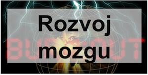 Rozvoj mozgu - aktívna práca manažéra