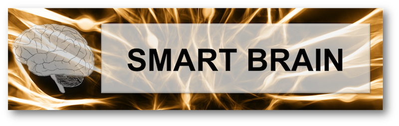 SMART BRAIN - neuroveda v manažérskej praxi