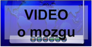 VIDEO - neuroplasticita mozgu a manažérsky rozvoj 