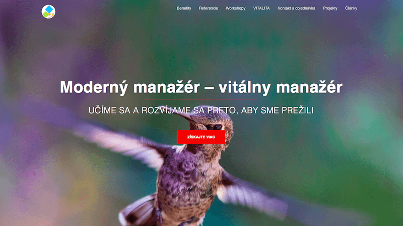 Vitality manažment