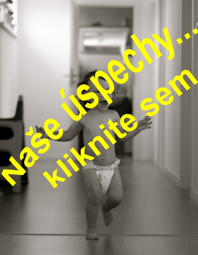Úspech po slovensky